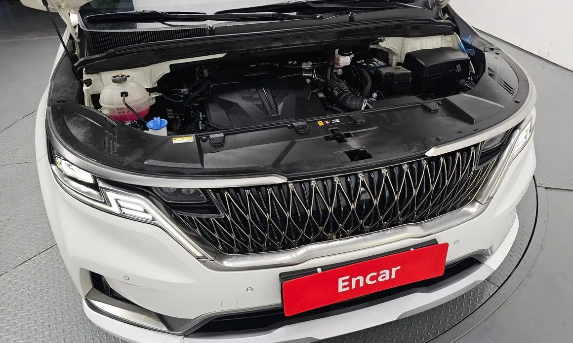 Kia Carnival — фото 10