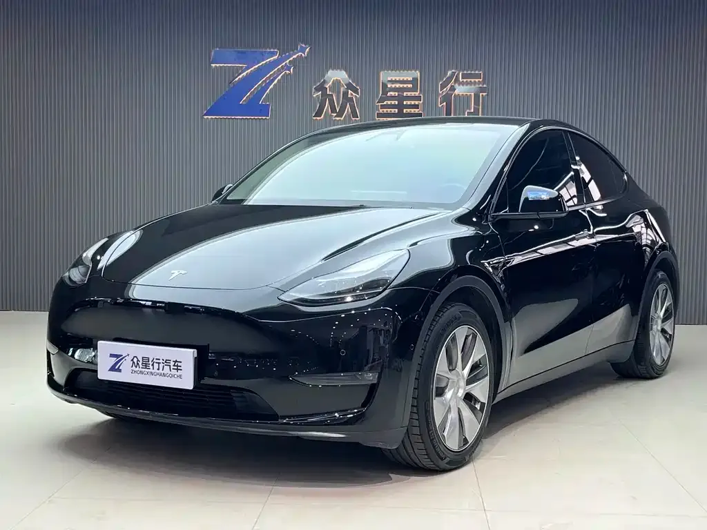 Tesla Model Y — фото 1