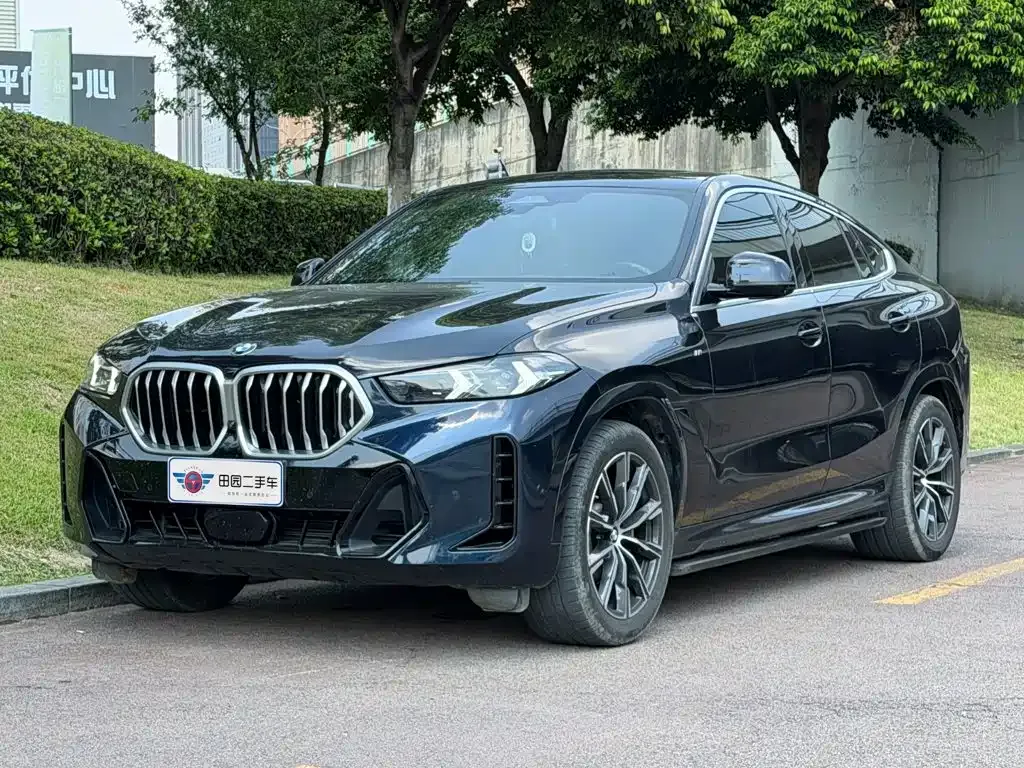 BMW X6 — фото 1