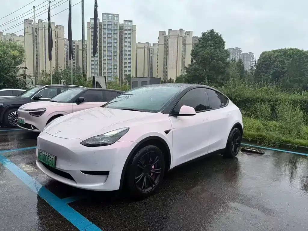 Tesla Model Y — фото 1