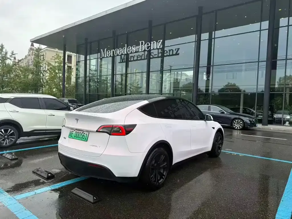 Tesla Model Y — фото 2