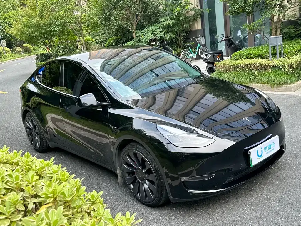 Tesla Model Y — фото 3