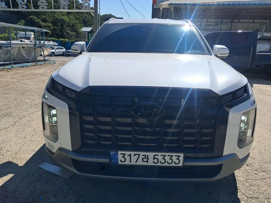 Hyundai Palisade — фото 1