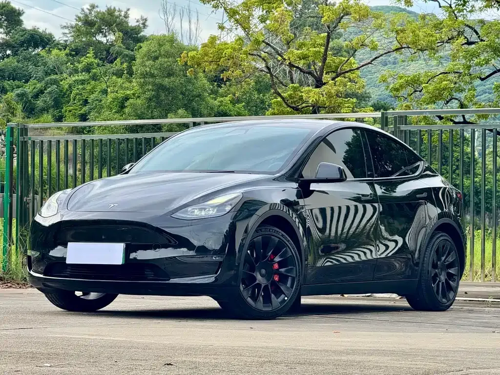 Tesla Model Y — фото 1