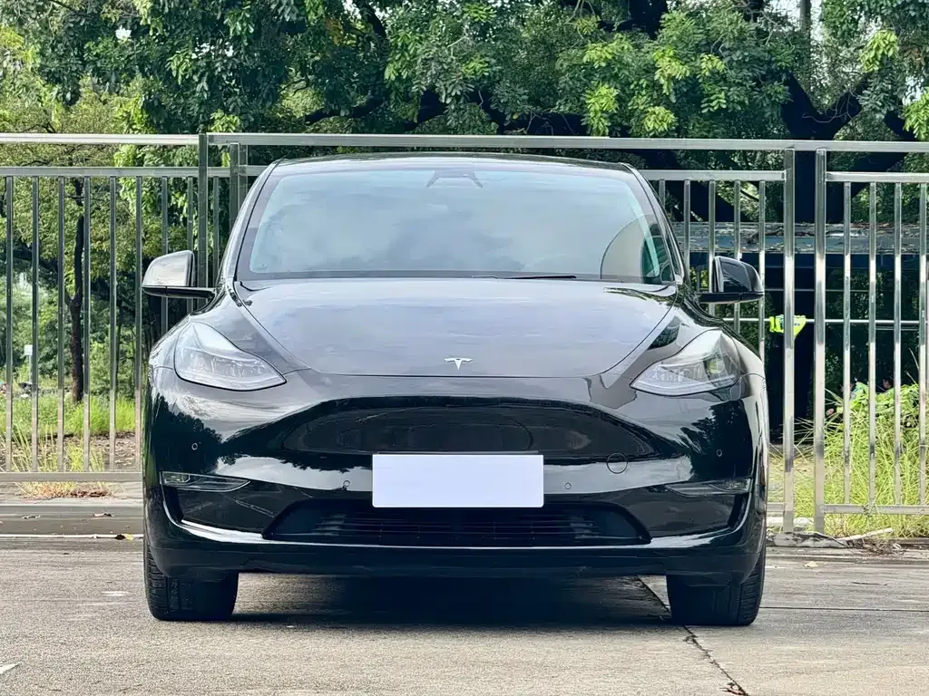 Tesla Model Y — фото 8