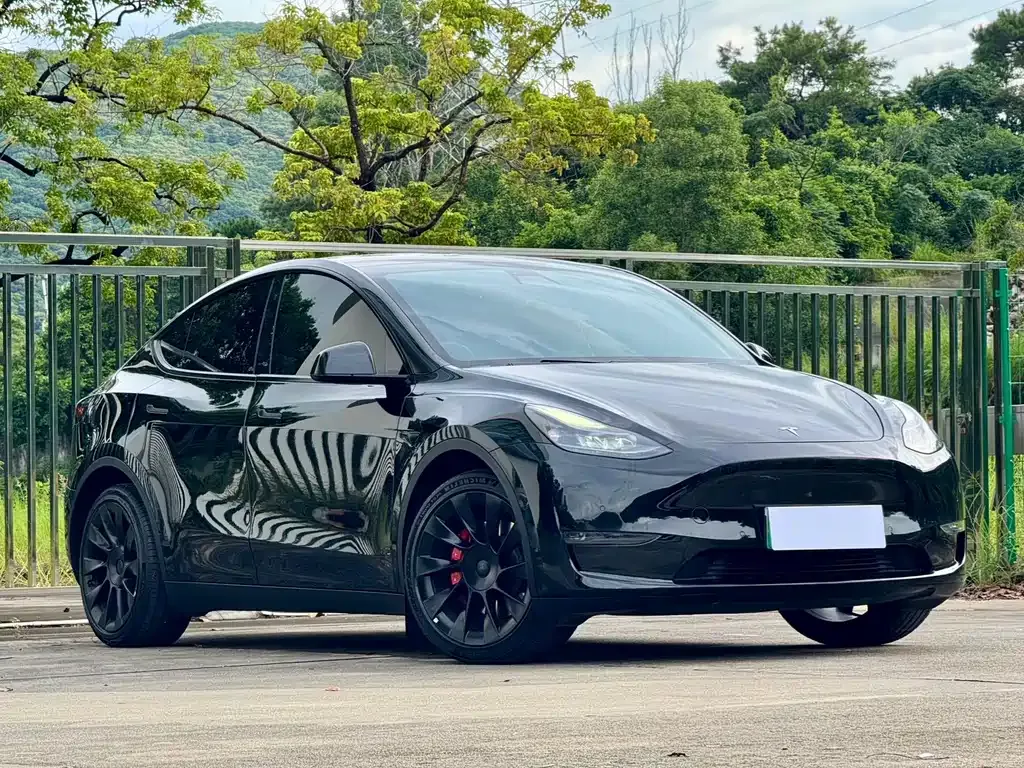 Tesla Model Y — фото 9