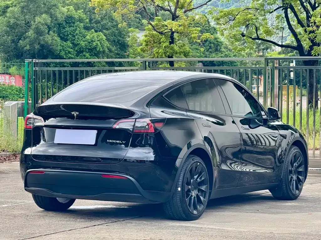 Tesla Model Y — фото 10