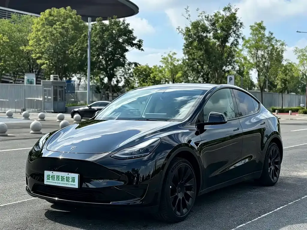 Tesla Model Y — фото 1