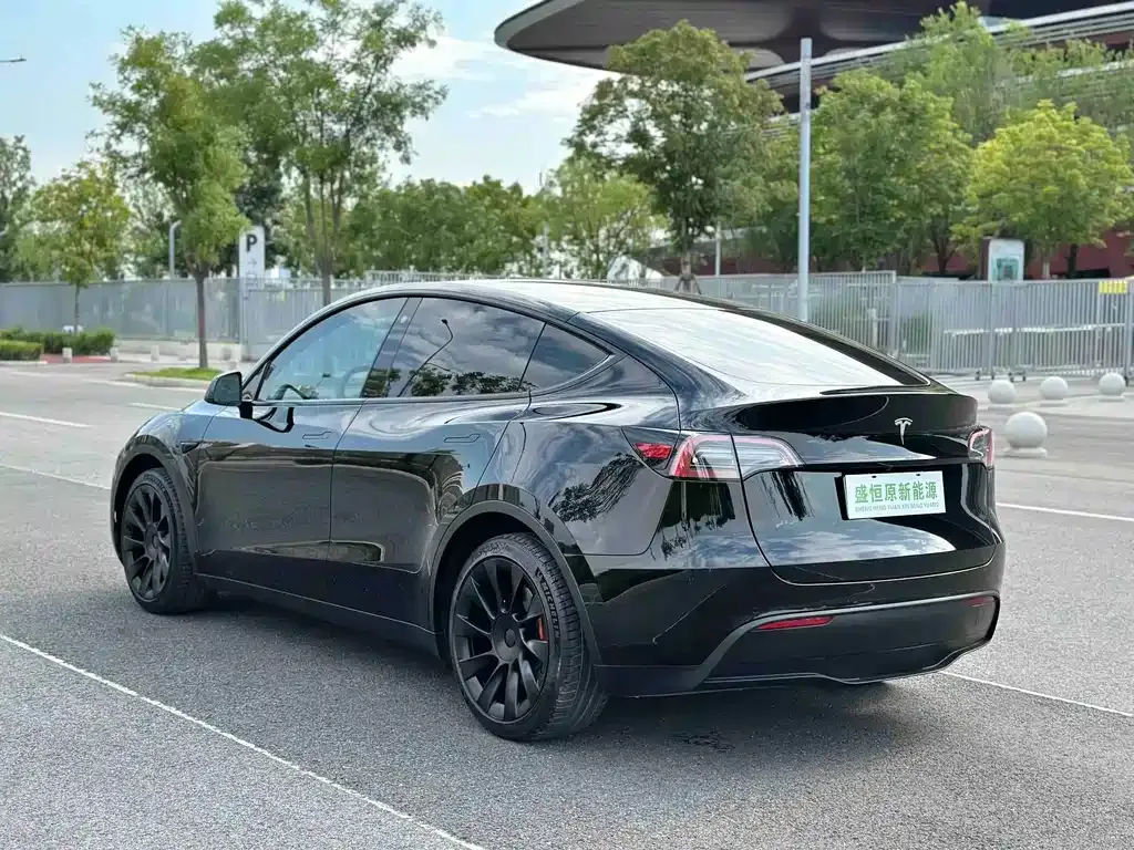 Tesla Model Y — фото 10