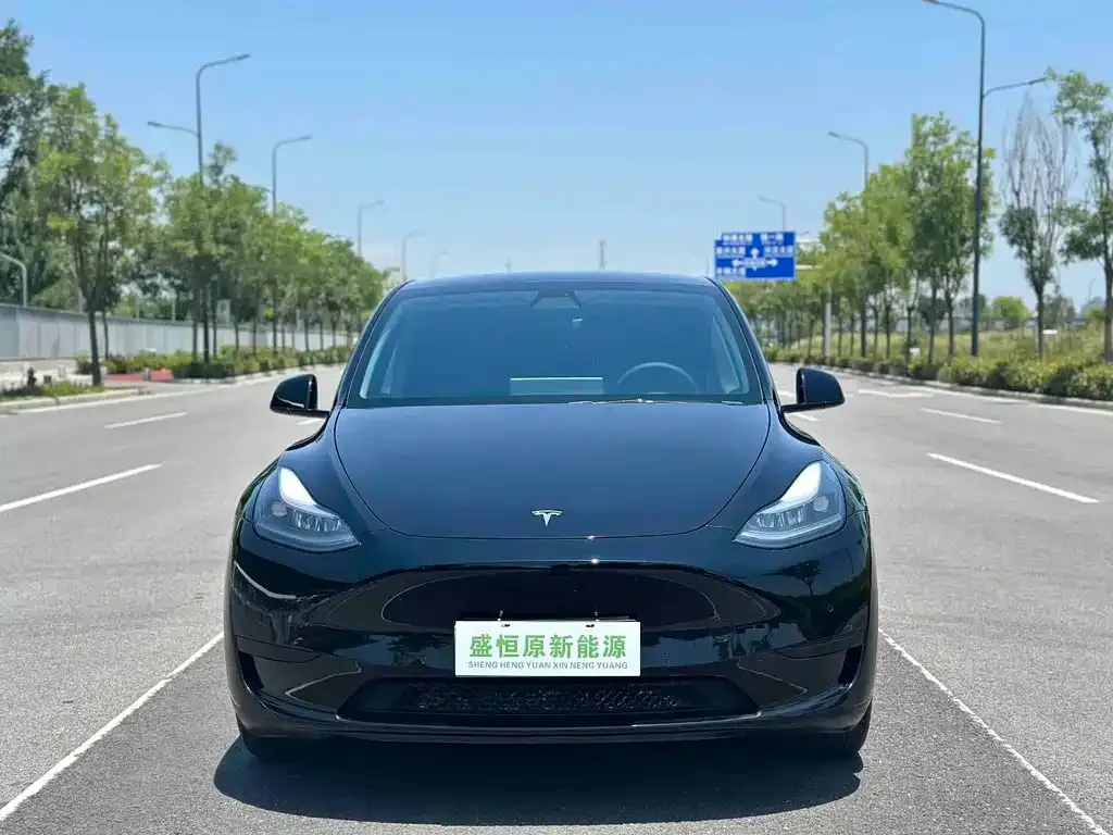 Tesla Model Y — фото 9
