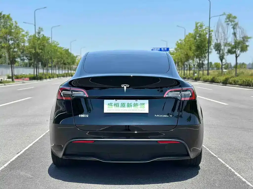 Tesla Model Y — фото 5