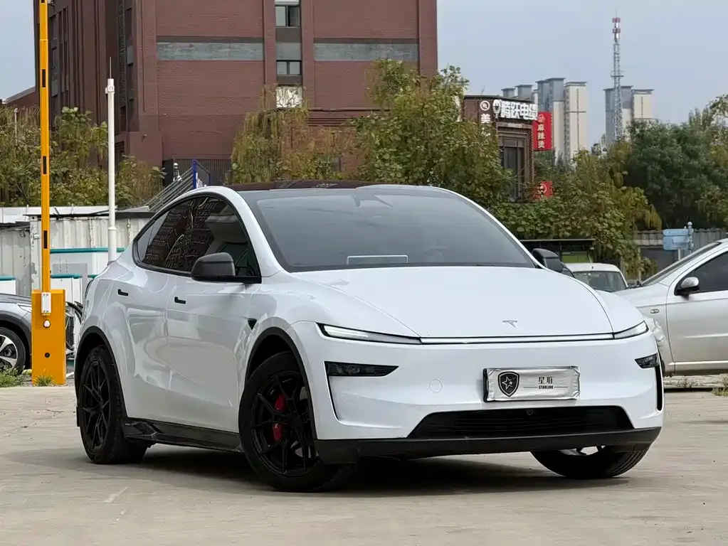 Tesla Model Y — фото 8