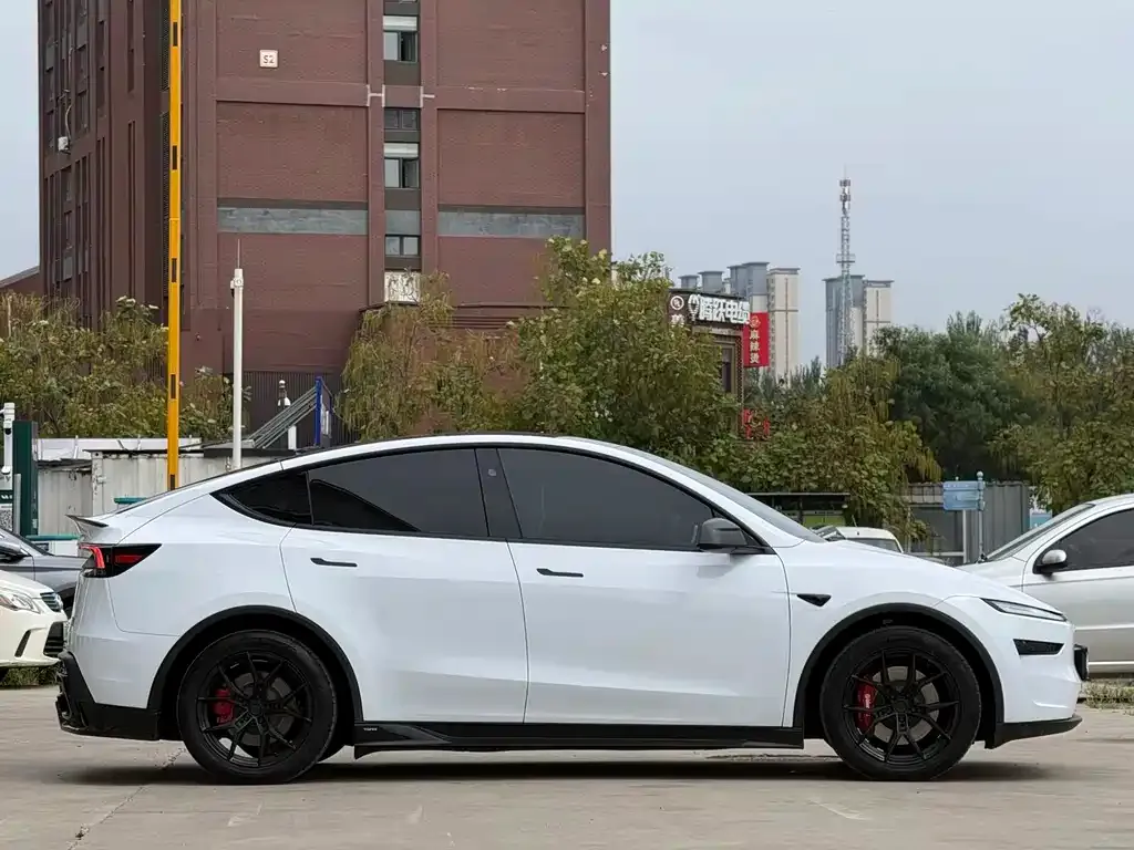 Tesla Model Y — фото 3