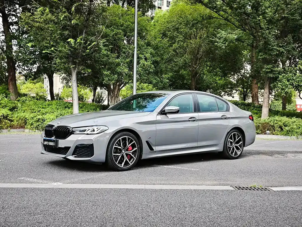 BMW 5 Series (Import) — фото 1