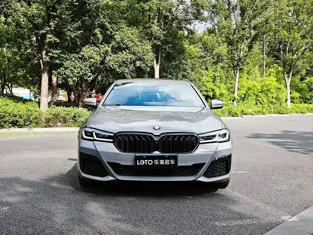 BMW 5 Series (Import) — фото 6