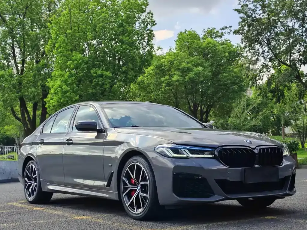 BMW 5 Series (Import) — фото 10