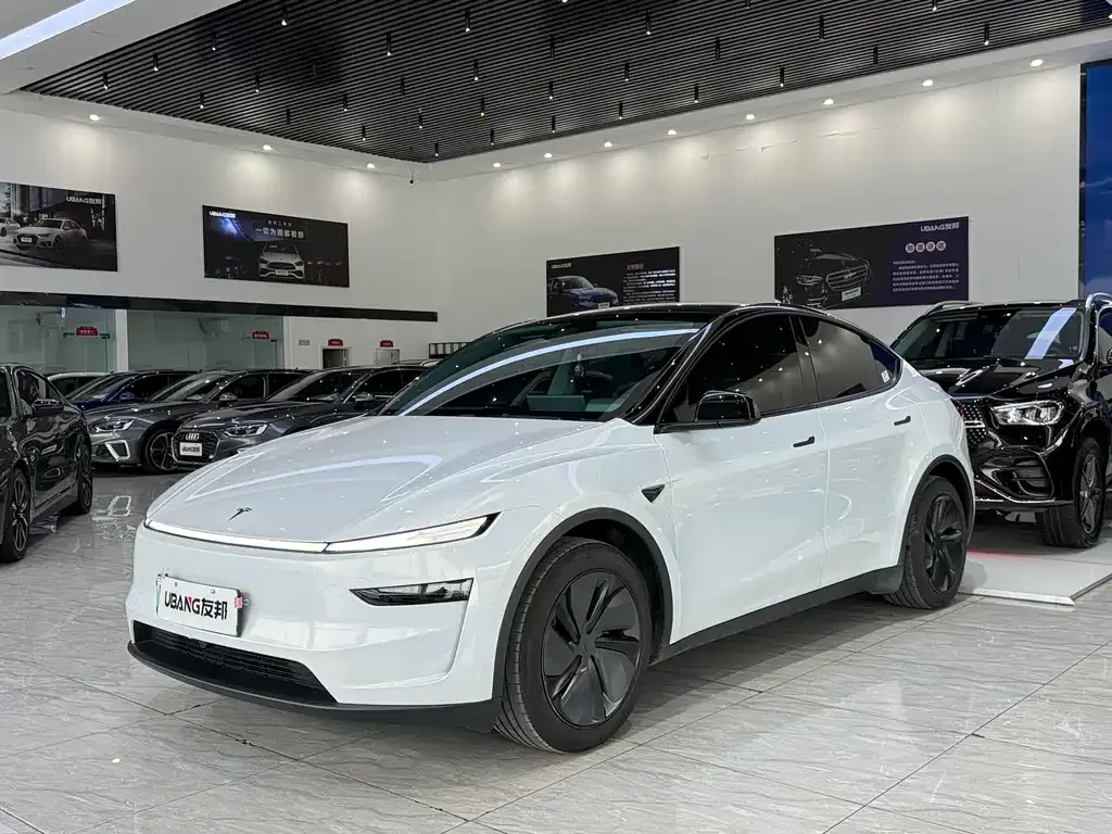 Tesla Model Y — фото 1