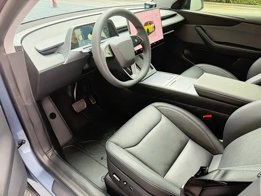 Tesla Model Y — фото 10