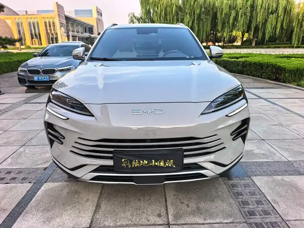 BYD PLUS New Energy — фото 1