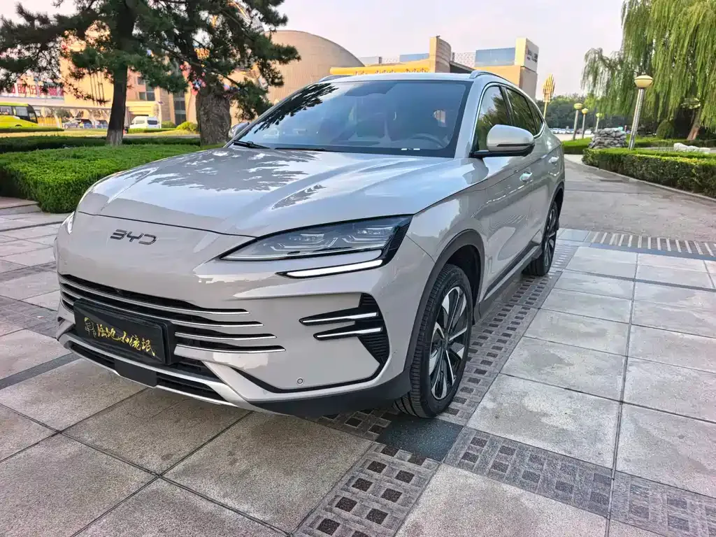 BYD PLUS New Energy — фото 8