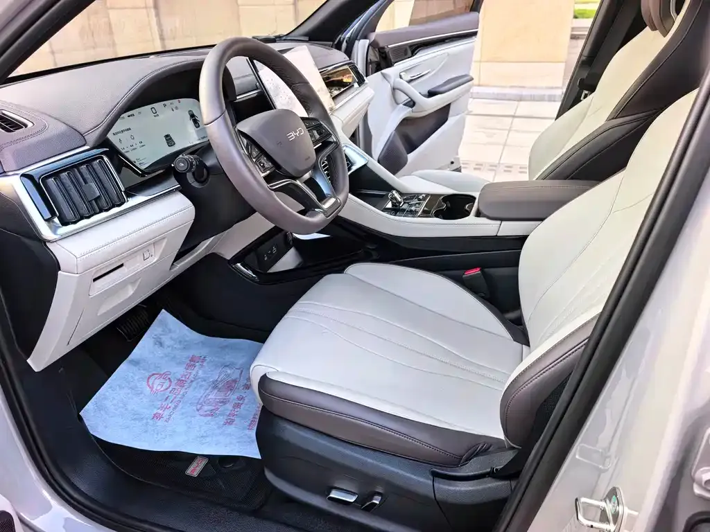 BYD PLUS New Energy — фото 6