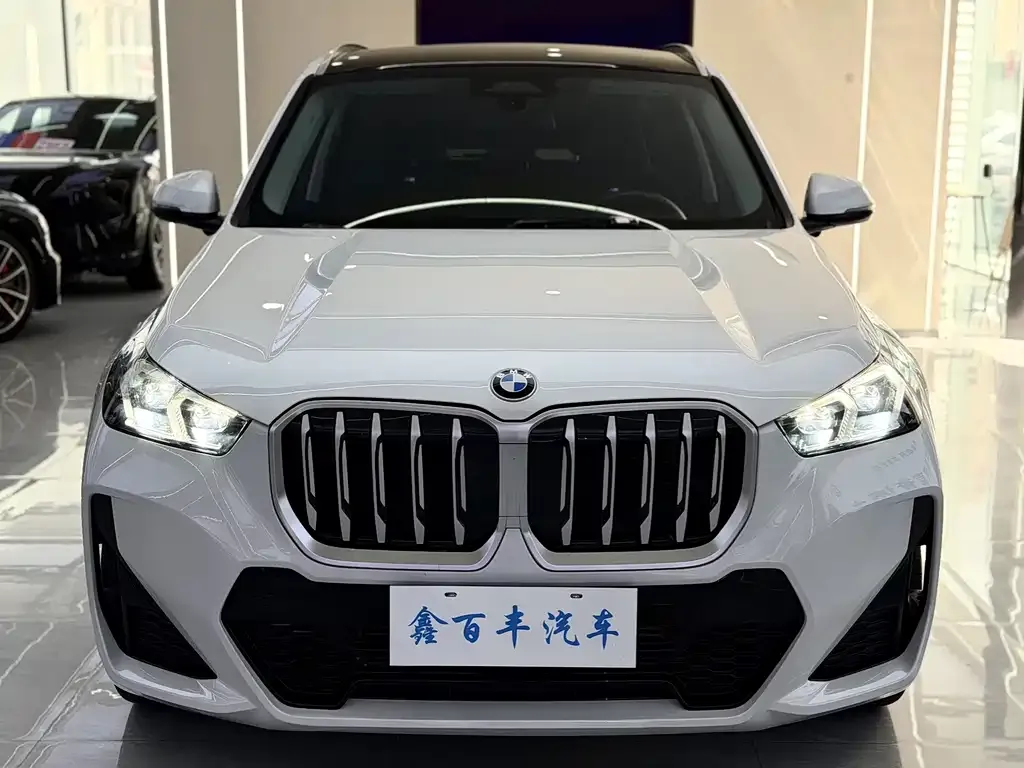 BMW X1 — фото 10