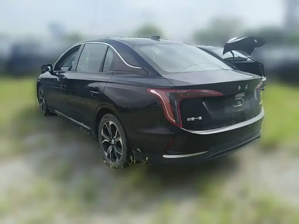 Hongqi E-QM5 — фото 9