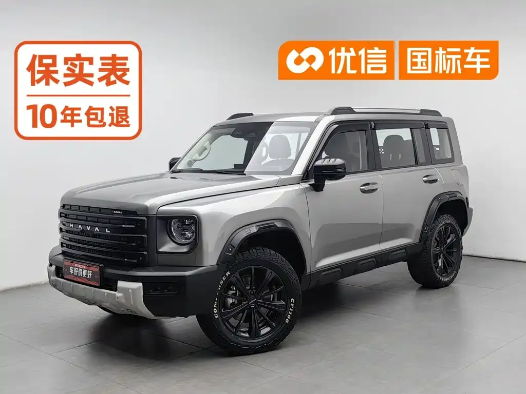 Haval Menglong New Energy — фото 1