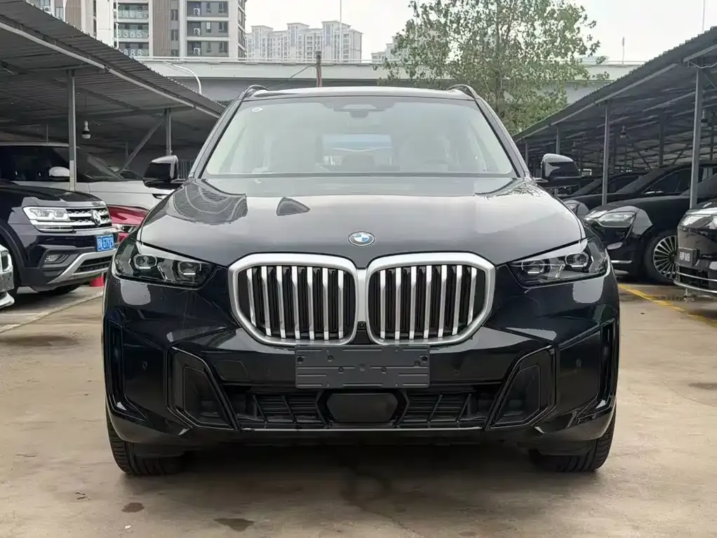 BMW X5 — фото 9