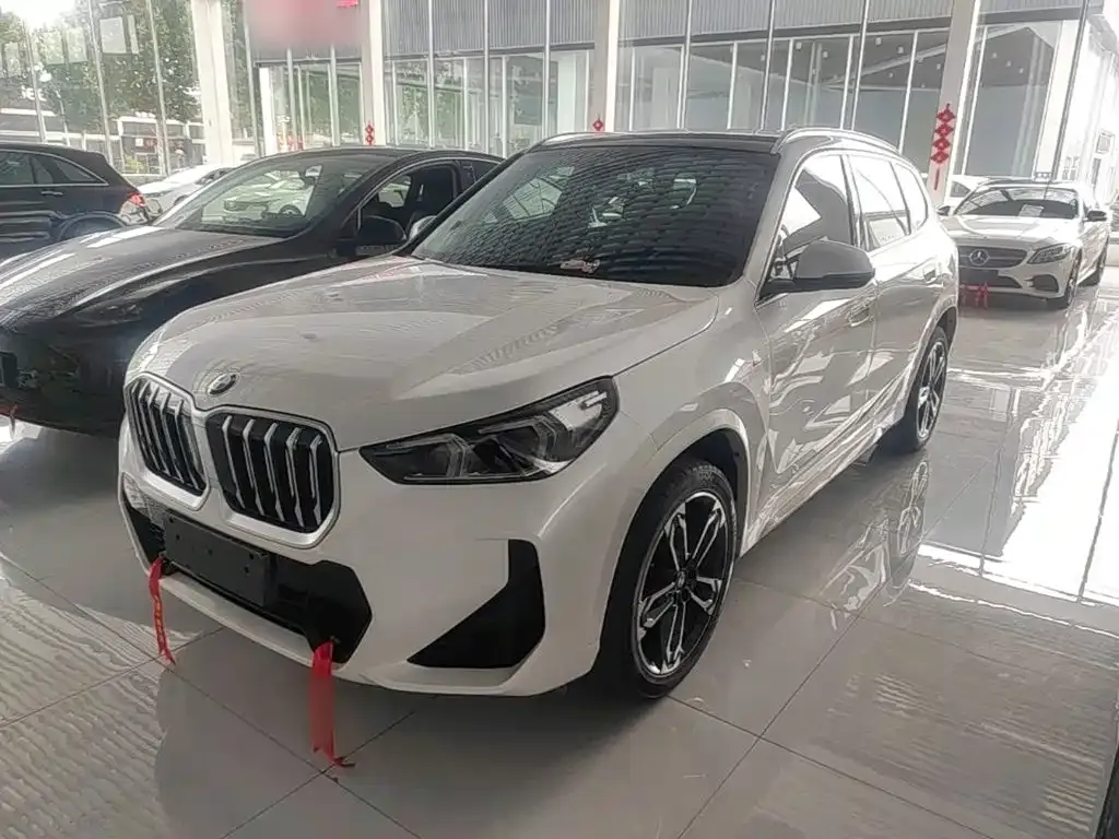 BMW X1 — фото 1