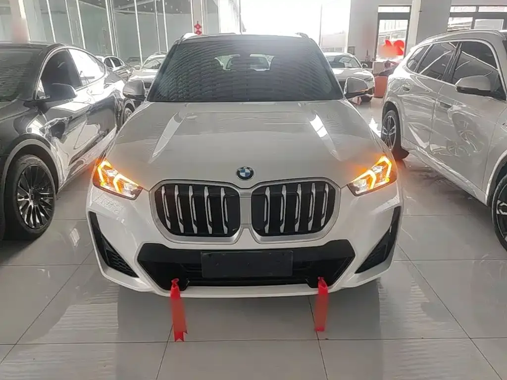 BMW X1 — фото 10