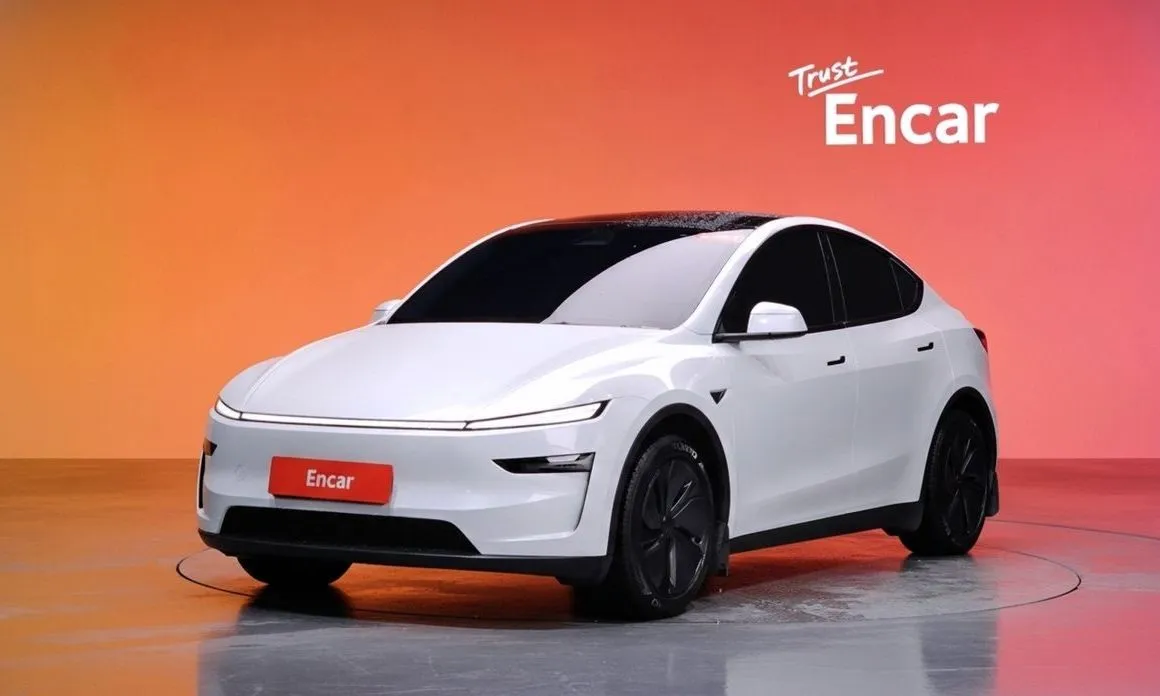 Tesla Model Y — фото 1