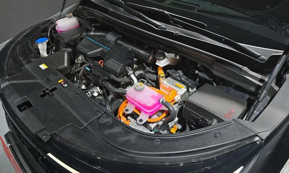 Kia Carnival — фото 10