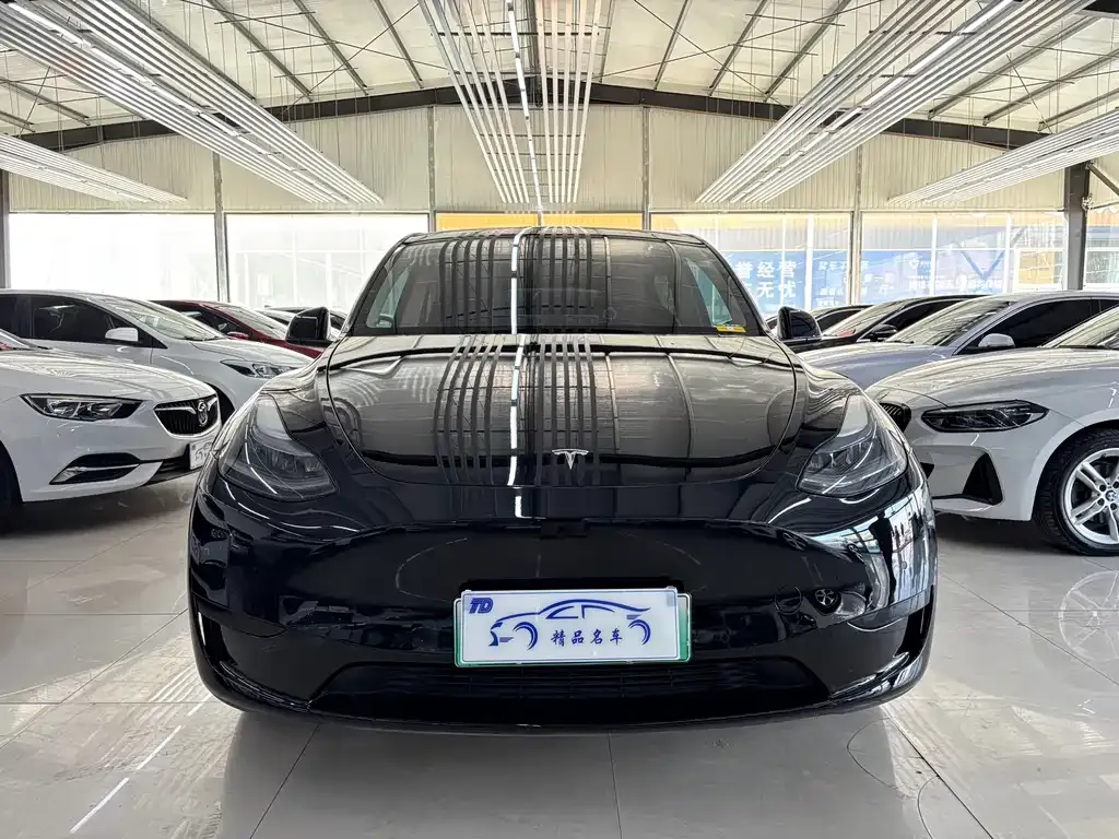 Tesla Model Y — фото 8