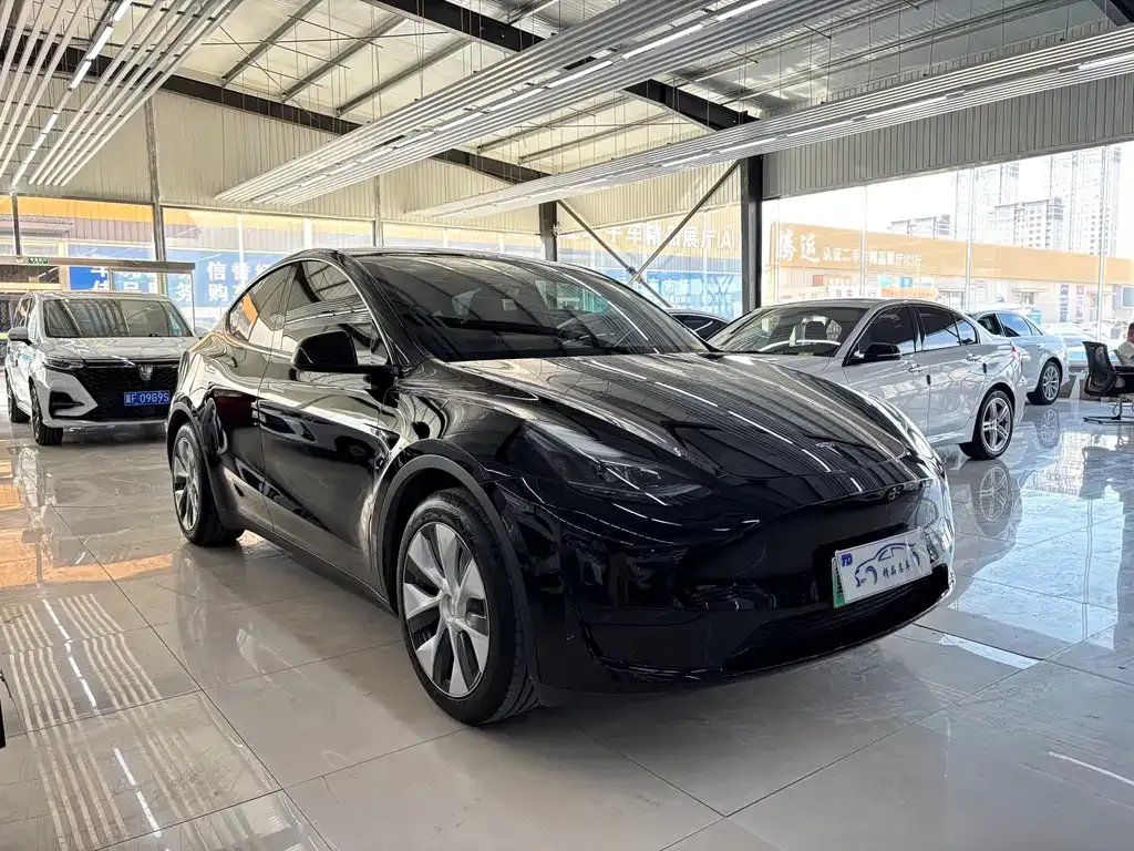 Tesla Model Y — фото 7