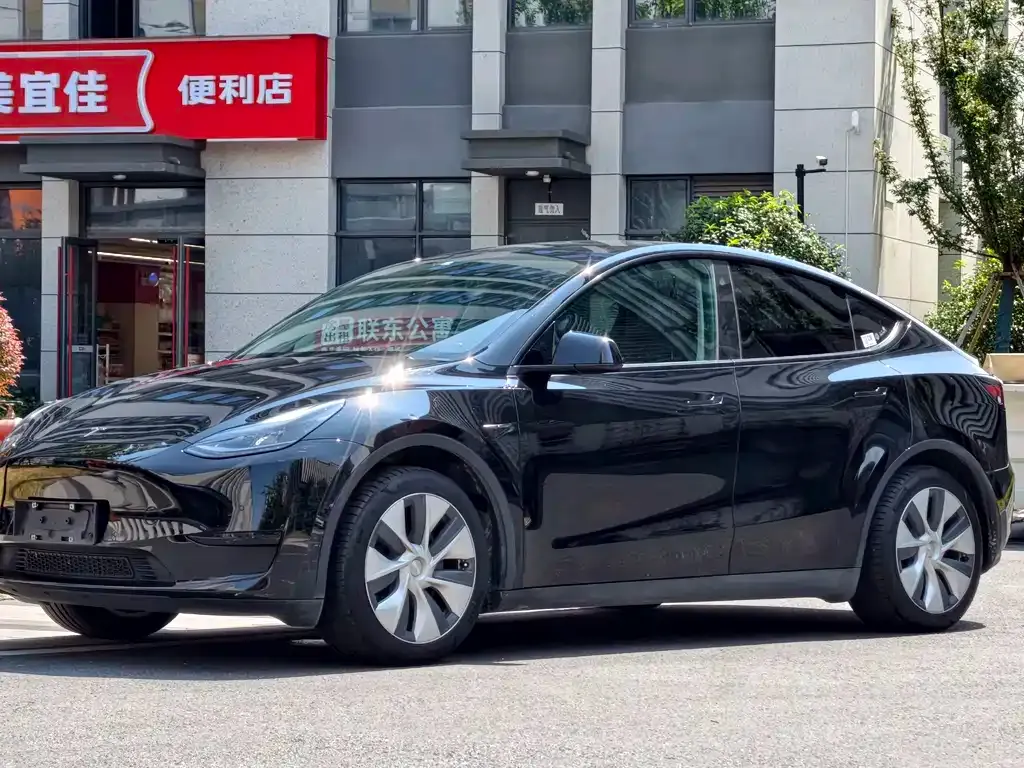 Tesla Model Y — фото 1