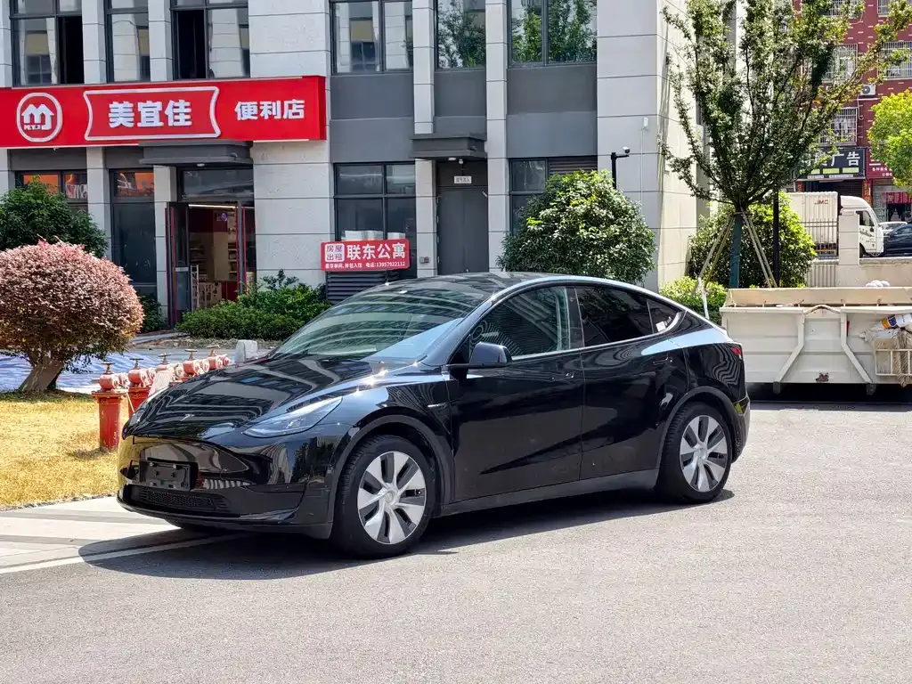 Tesla Model Y — фото 10