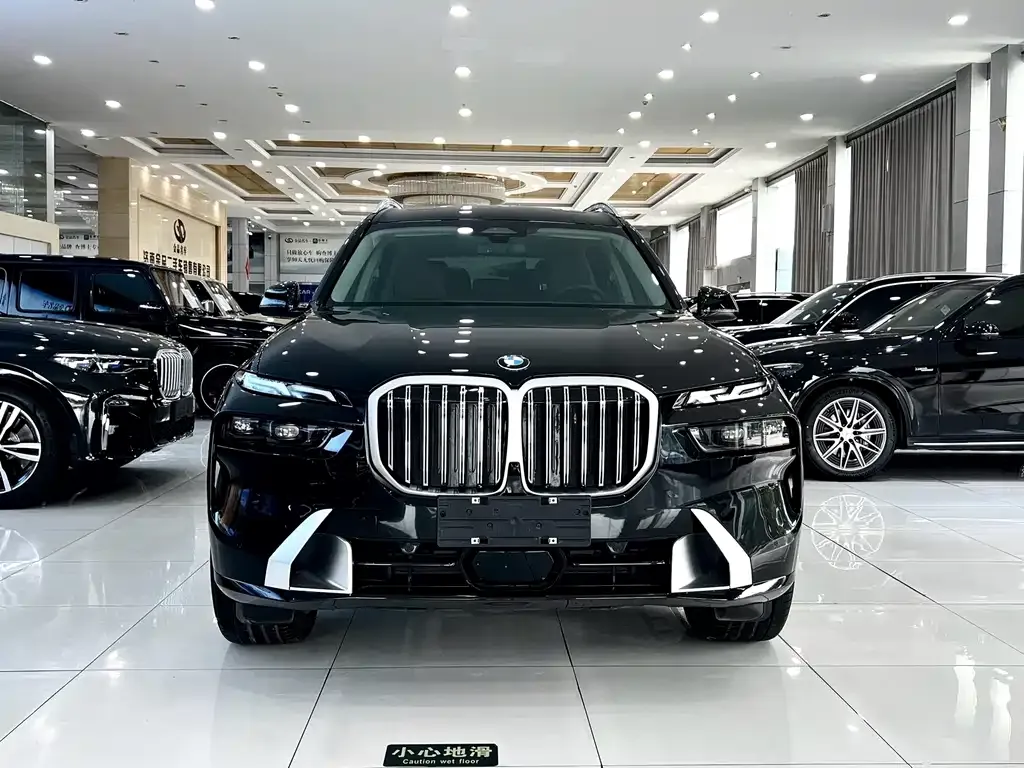 BMW X7 — фото 5