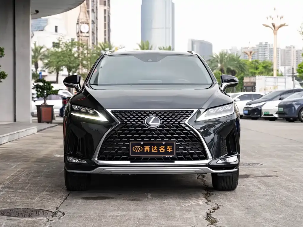Lexus RX — фото 8