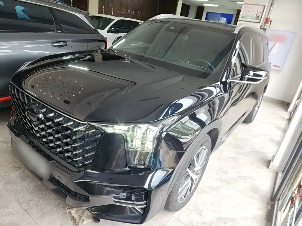 GAC Motor Trumpchi GS8 — фото 2