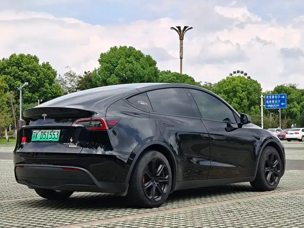 Tesla Model Y — фото 5