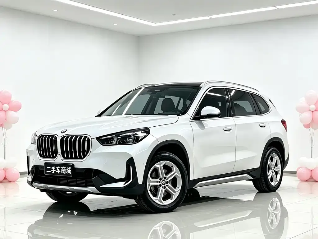 BMW X1 — фото 1