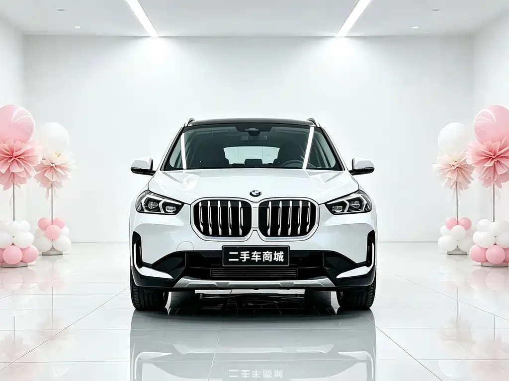 BMW X1 — фото 5
