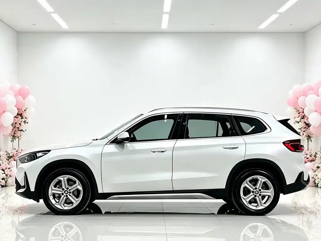 BMW X1 — фото 9