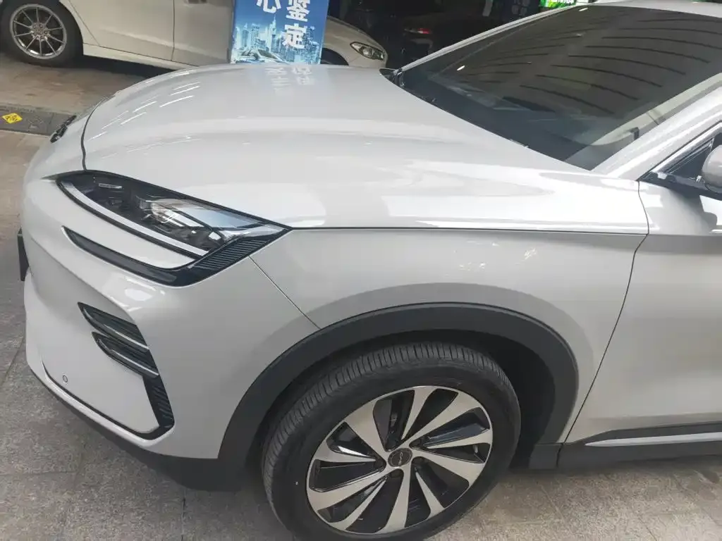 BYD PLUS New Energy — фото 8