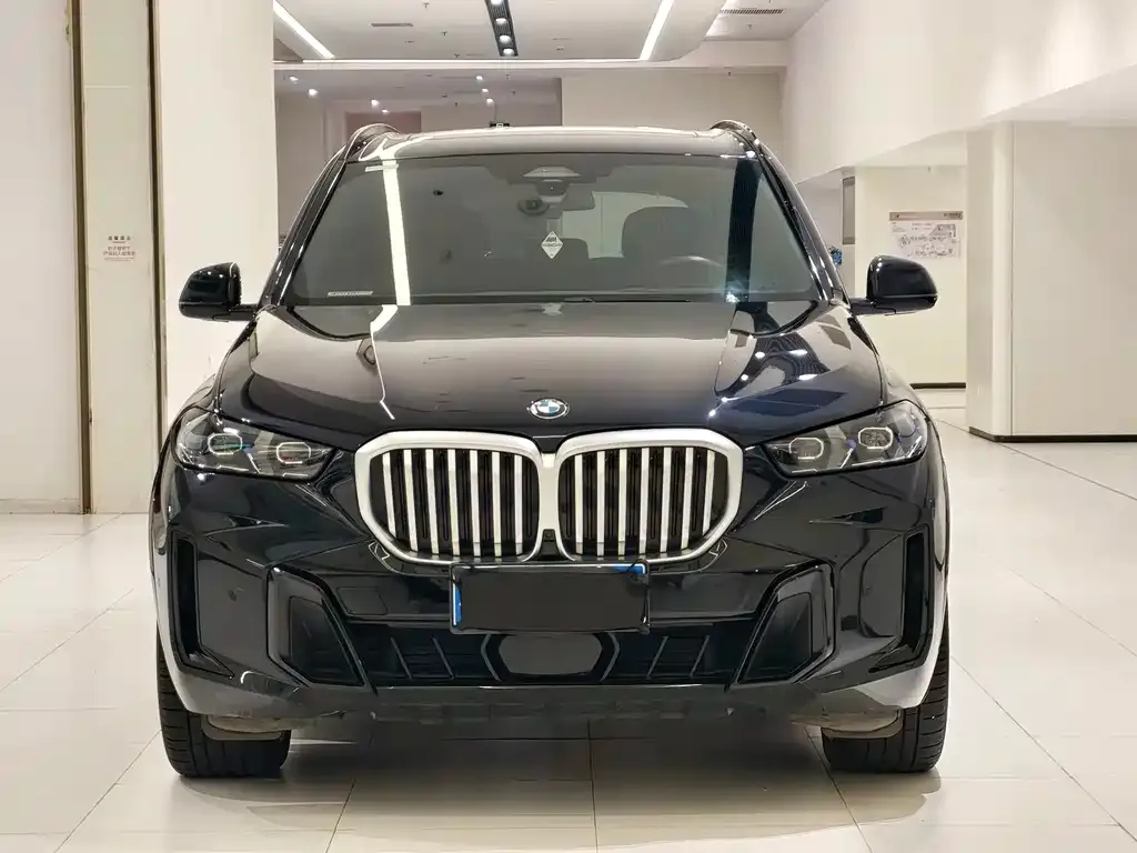 BMW X5 — фото 8