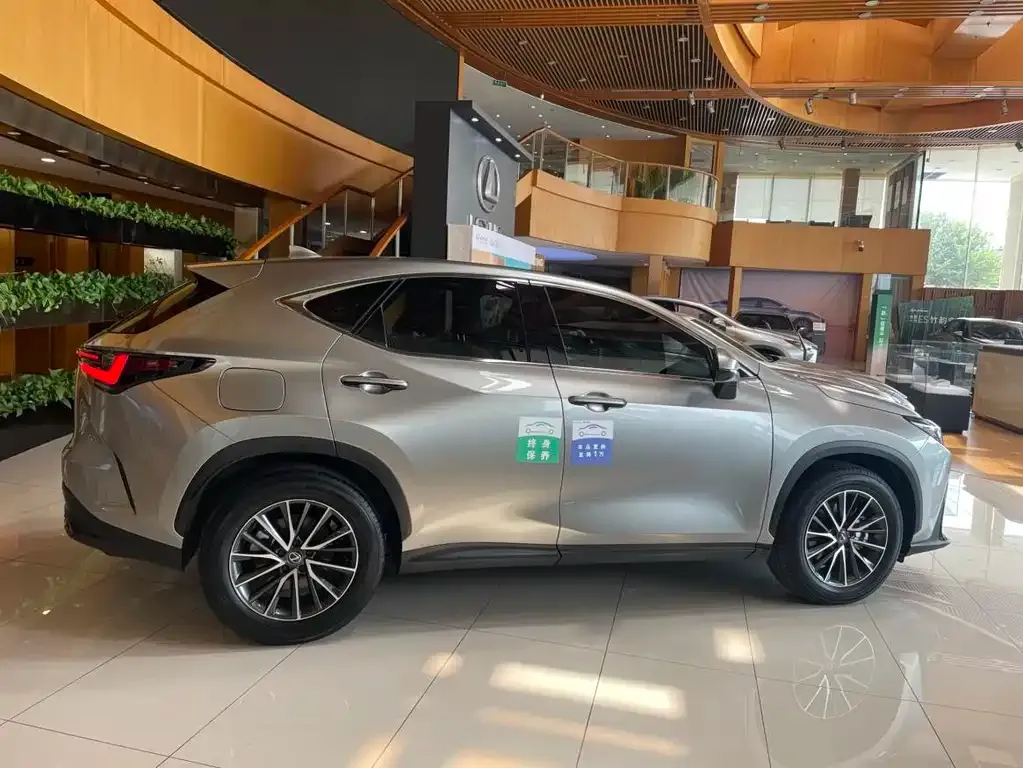 Lexus NX New Energy — фото 9