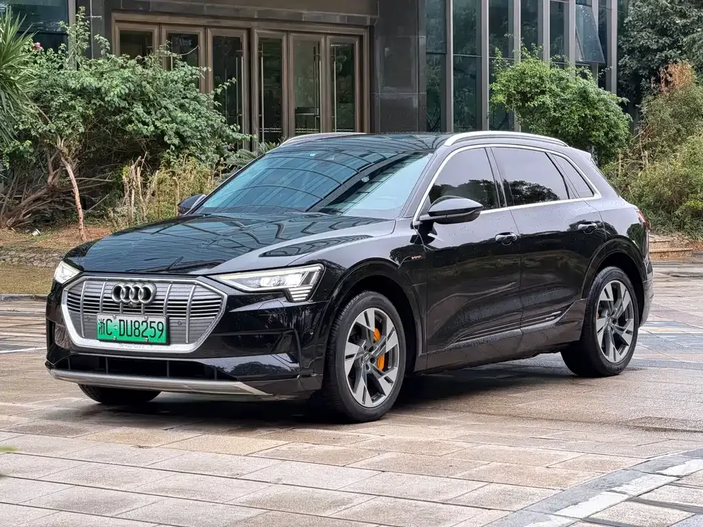 Audi e-tron (Import) — фото 1