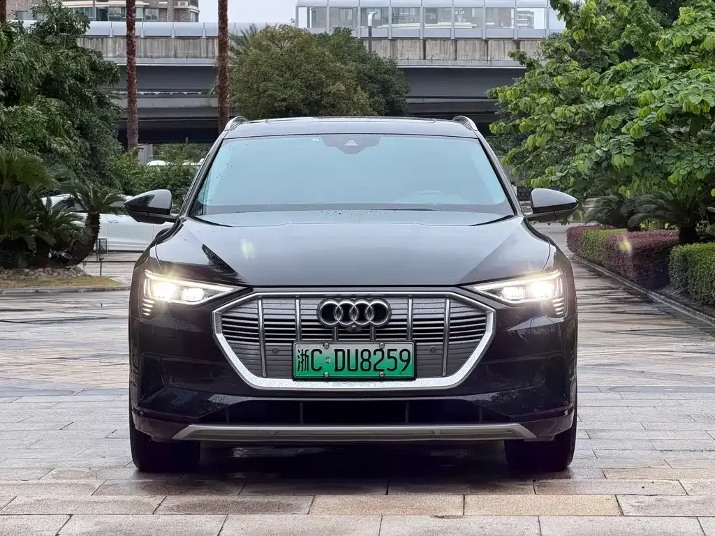 Audi e-tron (Import) — фото 4