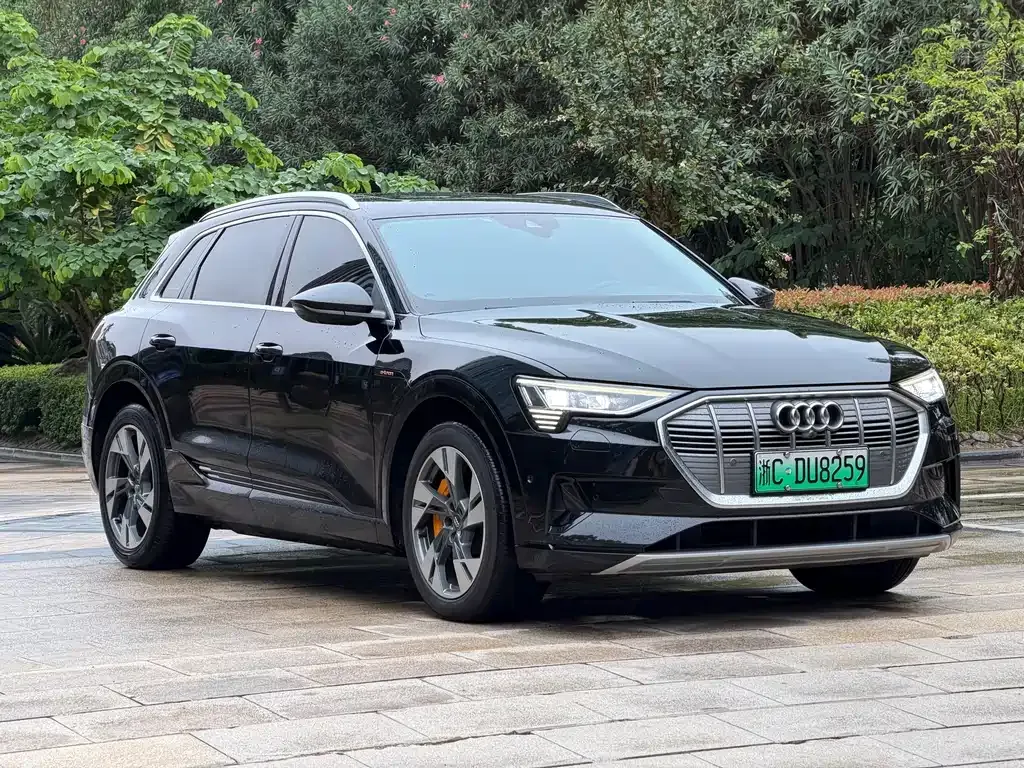 Audi e-tron (Import) — фото 10